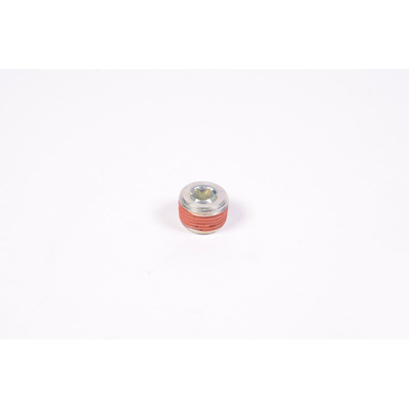 Radium Engineering 3/8in NPT Plug