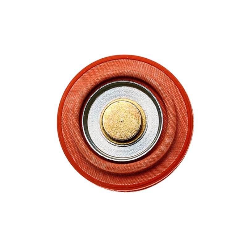 Radium Engineering Diaphragm Service Replacement FPD