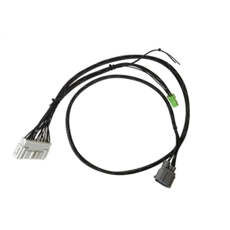 Rywire 92-95 Honda Civic / 94-01 Acura Integra (EG/DC) K-Series Chassis Adapter Harness