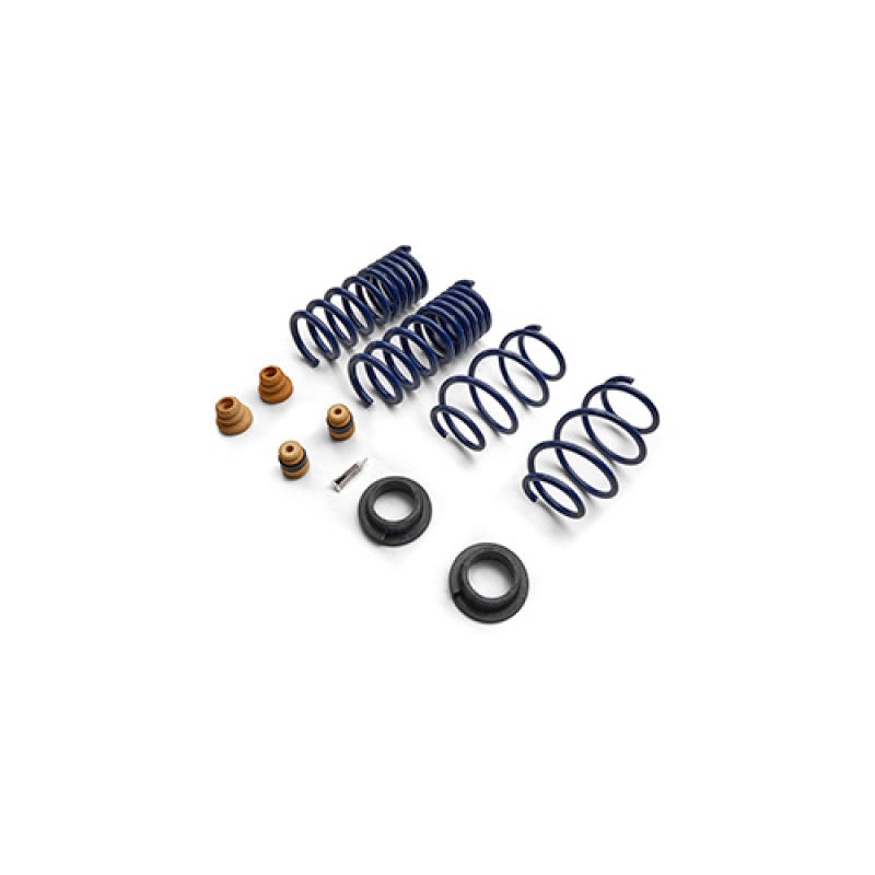 Ford Racing 15-24 Mustang Street Lowering Spring Kit