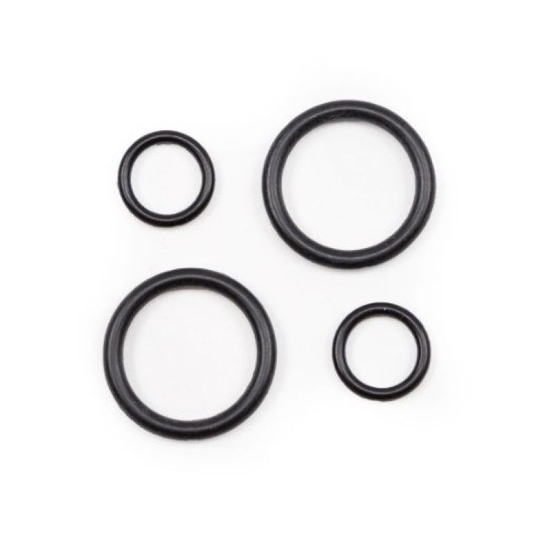 Killer B O-Ring Seal Kit (070-110 / 050 / PPBC / EJ25PAN Replacements)