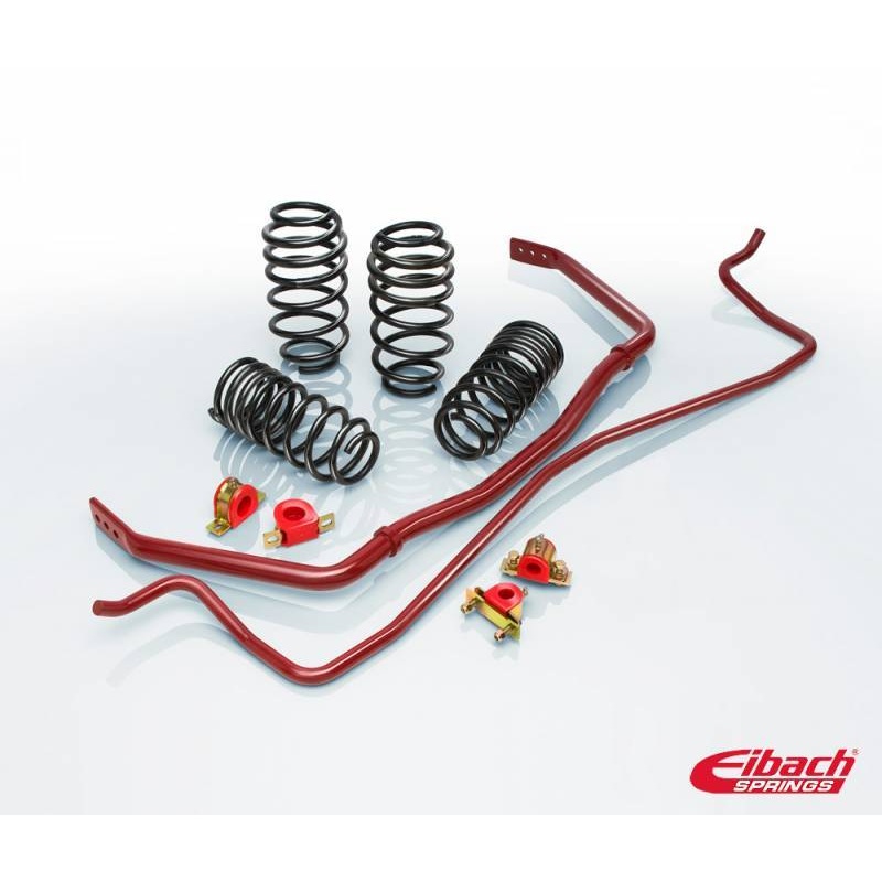 Eibach Pro-Plus Kit for 17-20 Tesla 3 RWD Models