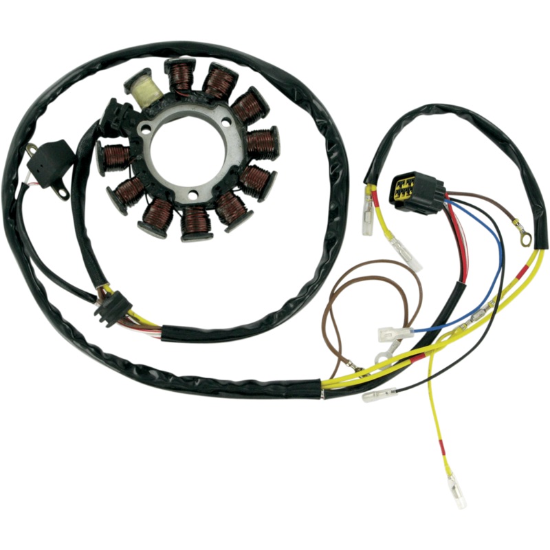 Stator For Polaris By Rick’s Motorsport Electric
