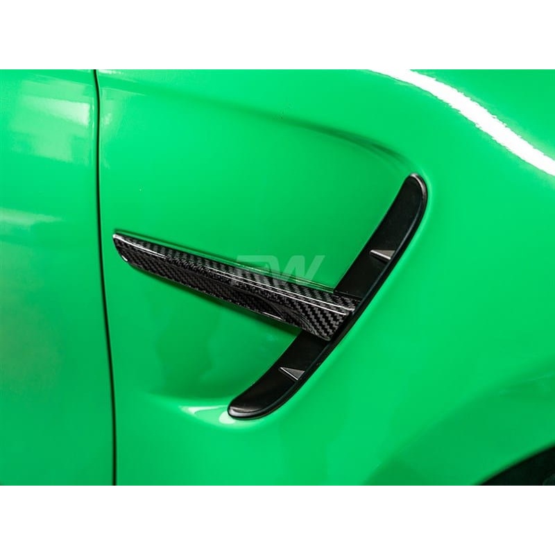 RW Carbon CF Fender Trim – BMW / F8X / M3 / M4